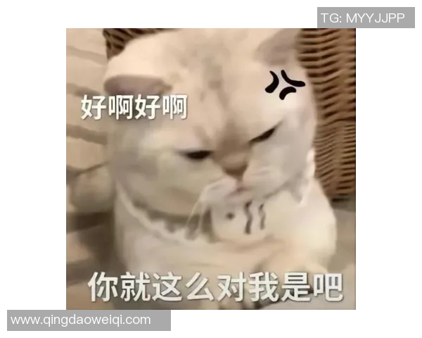 足球明星们热爱的搞笑表情包大揭秘让你也能感受他们的幽默魅力